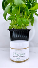 Load image into Gallery viewer, Basil Sugar Exfoliant